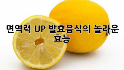 면역력 UP! 발효음식의 놀라운 효능